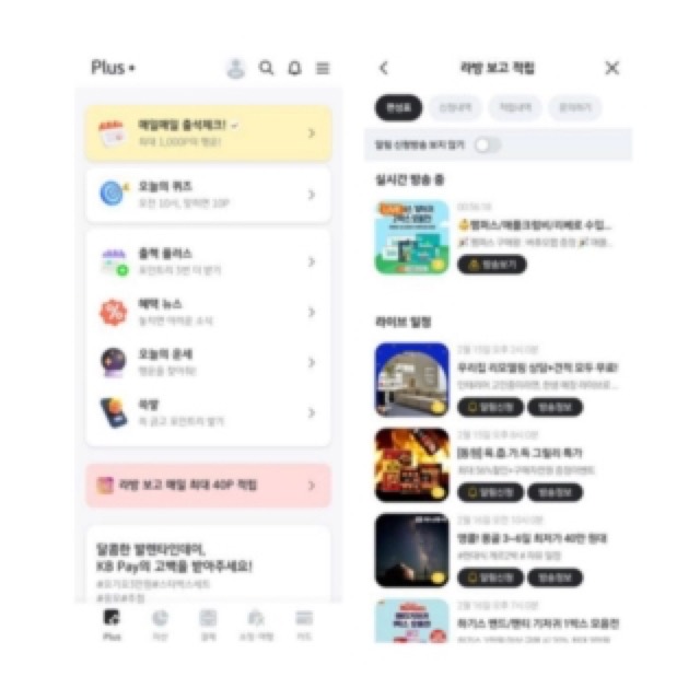 라방보고적립하기