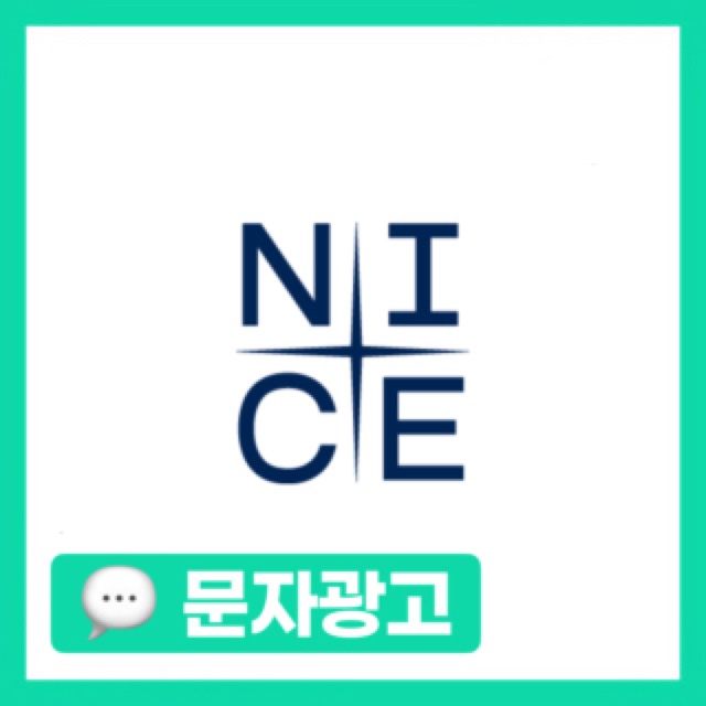 나이스평가
